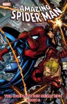 Spider-Man: The Complete Ben Reilly Epic, Book 6 (Amazing Spider-Man Collection (Marvel)) - Tom DeFalco, Todd Dezago, J.M. DeMatteis, Howard Mackie, Ron Garney, Steve Skroce, Mike Wieringo, Luke Ross