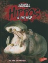 Hippos: In the Wild - Jody Sullivan Rake, Barbara J. Fox, Glenn S. Feldhake