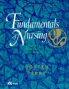 Fundamentals Of Nursing: Concepts, Process, And Practice - Patricia Ann Potter, Anne Griffin Perry