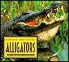 Outside and Inside Alligators - Sandra Markle