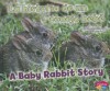 La Historia de un Conejo Bebe/A Baby Rabbit Story - Jeni Wittrock