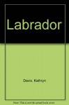 Labrador - Kathryn Davis