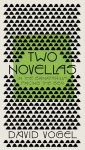 Two Novellas: In the Sanatorium and Facing the Sea - David Vogel, Dalya Bilu