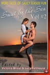 Smut by the Sea Volume 2 - Victoria Blisse, Lucy Felthouse, Tilly Hunter, Rachel Randall, Giselle Renarde, Tamsin Flowers, Kate Britton, Jillian Boyd, Bel Anderson, Cass Peterson, Delyth Angharad, Erzabet Bishop, Tenille Brown, Annabeth Leong, T.C. Mill