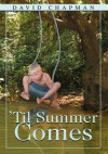 Til Summer Comes:Seven Spoon River boys wanted fun, laughter, and adventure any day of the year. But the best would even get better - David Chapman