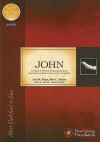 John: Meet God Face to Face (NLT Study Series) - Gary M. Burge, Mark L. Strauss