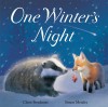 One Winter's Night - Claire Freedman, Simon Mendez