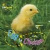 Egg To Chicken/Tadpole To Frog (Flip Me Over) (Qeb Life Cycles) - Camilla De la Bédoyère