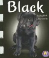 Black: Seeing Black All Around Us (A+ Books: Colors) - Michael Dahl