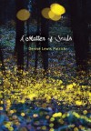 A Matter of Souls - Denise Lewis Patrick