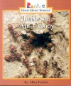 Inside an Ant Colony (Rookie Read-About Science) - Allan Fowler