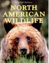 North American Wildlife - David Jones