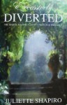 Excessively Diverted: The Sequel to Jane Austen's Pride and Prejudice - Juliette Shapiro