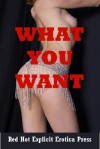 What You Want: Five Explicit Erotica Stories - Sarah Blitz, Connie Hastings, Nycole Folk, Amy Dupont, Angela Ward