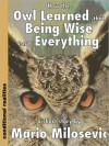 How the Owl Learned that Being Wise isn&#x2019;t Everything - Mario Milosevic
