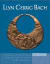 Llyn Cerrig Bach: A study of the Copper Alloy Artefacts from the Insular La Tene Assemblage - Philip MacDonald, Kilian Anheuser, Tony Daly