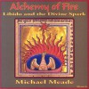 Alchemy of Fire: Libido and the Divine Spark - Michael Meade