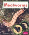 Mealworms - Martha E.H. Rustad