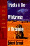 Tracks in the Wilderness of Dreaming - Robert Bosnak