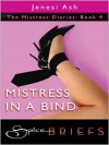 Mistress in a Bind - Jenesi Ash