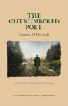 The Outnumbered Poet: Critical and Autobiographical Essays - Dennis O'Driscoll