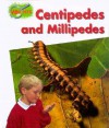 Centipedes and Millipedes - Theresa Greenaway, Dick Twinney, Chris Fairclough
