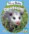 It's a Baby Opossum! - Kelly Doudna