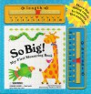 So Big!: My First Measuring Book - Keith Faulkner, Stephanie Hinton