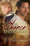 A Chance Encounter - Gale Stanley