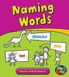 Naming Words: Nouns and Pronouns - Anita Ganeri