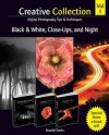 Creative Collection, Black and White, Close-Ups, and Night - Harold Davis