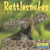 Rattlesnakes - Matt Doeden