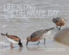 Life Along the Delaware Bay: Cape May, Gateway to a Million Shorebirds - Lawrence Niles, Joanna Burger, Amanda Dey, Jan Van der Kam