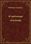 W malinowym chruśniaku - Bolesław Leśmian