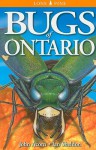 Bugs Of Ontario - John Acorn, Ian Sheldon