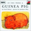 If You Were a Guinea Pig - Parkwest, Jonathan Allen, Carol Watson