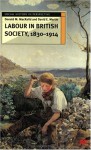 Labour In British Society, 1830 1914 - Donald M. MacRaild, David E. Martin