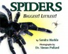 Spiders Biggest! Littlest! - Sandra Markle