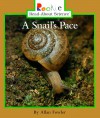 A Snail's Pace - Allan Fowler