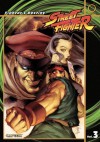 Street Fighter, Volume 3: Fighter's Destiny - Ken Siu-Chong, Alvin Lee