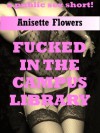 Fucked in the Campus Library: A Teacher/Student Public Sex Short - Anisette Flowers