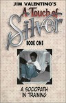 Touch of Silver Book 1 - Jim Valentino