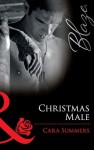 Christmas Male (Mills & Boon Blaze) (Uniformly Hot! - Book 13) - Cara Summers