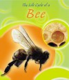 The Life Cycle of a Bee - Lisa Trumbauer, Gail Saunders-Smith