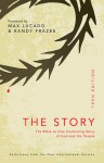 The Story: Teen Edition: Read the Bible as one seamless story from beginning to end - Zondervan Publishing, Anonymous