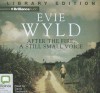 After the Fire, a Still Small Voice - Evie Wyld, David Tredinnick