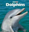 Dolphins - Dean Stahl