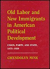 Old Labor And New Immigrants In American Political Development: Union, Party, And State, 1875 1920 - Gwendolyn Mink