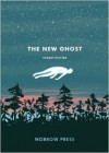 The New Ghost - Robert Hunter