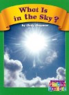 What Is in the Sky - Cindy Chapman, Wiley Blevins